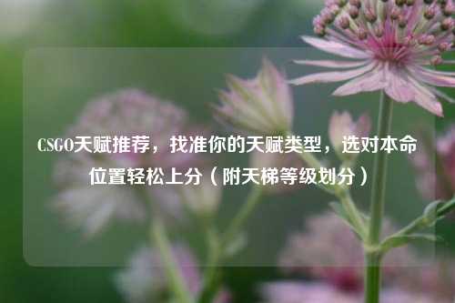 CSGO天赋推荐，找准你的天赋类型，选对本命位置轻松上分（附天梯等级划分）