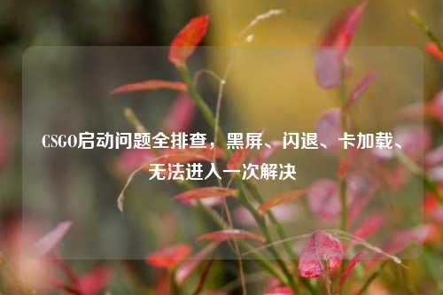 CSGO启动问题全排查,黑屏、闪退、卡加载、无法进入一次解决