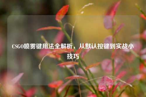 CSGO喷雾键用法全解析，从默认按键到实战小技巧