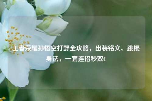 王者荣耀孙悟空打野全攻略,出装铭文、跳棍身法,一套连招秒双C