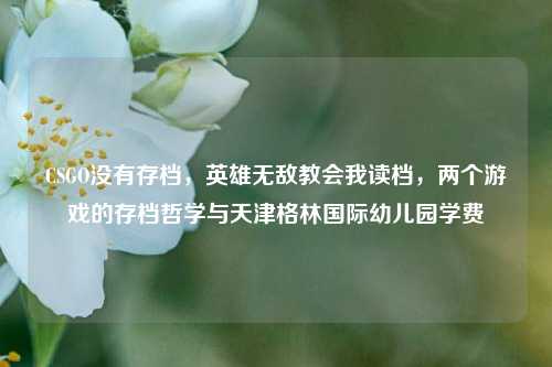 CSGO没有存档,英雄无敌教会我读档,两个游戏的存档哲学与天津格林国际幼儿园学费
