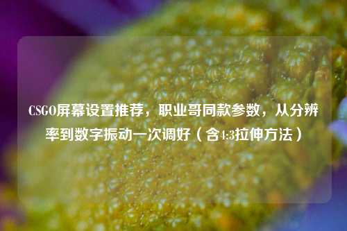 CSGO屏幕设置推荐，职业哥同款参数，从分辨率到数字振动一次调好（含4:3拉伸方法）