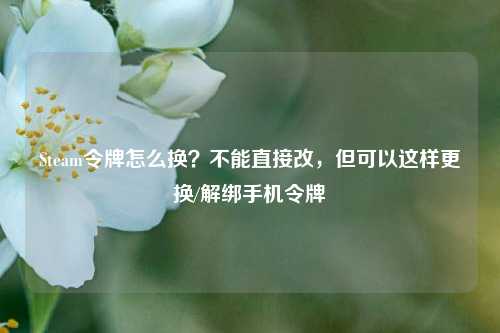 Steam令牌怎么换?不能直接改,但可以这样更换/解绑手机令牌