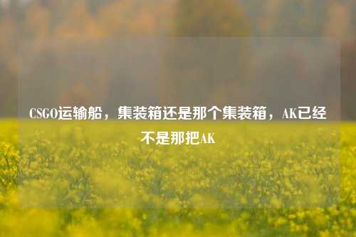 CSGO运输船,集装箱还是那个集装箱,AK已经不是那把AK