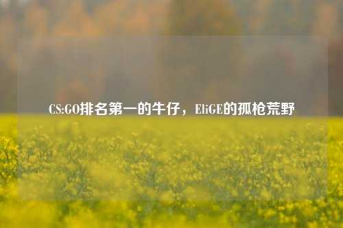 CS:GO排名第一的牛仔,EliGE的孤枪荒野