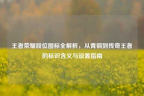王者荣耀段位图标全解析,从青铜到传奇王者的标识含义与设置指南