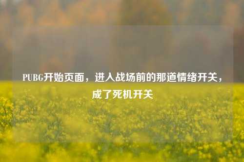 PUBG开始页面,进入战场前的那道情绪开关,成了死机开关