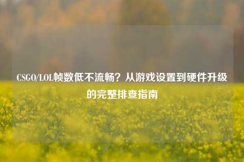 CSGO/LOL帧数低不流畅?从游戏设置到硬件升级的完整排查指南