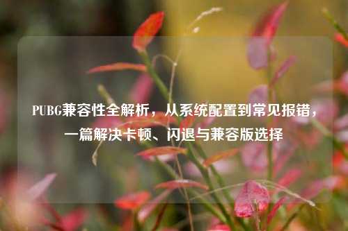 PUBG兼容性全解析,从系统配置到常见报错,一篇解决卡顿、闪退与兼容版选择