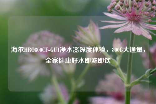 海尔HRO800CF-GU1净水器深度体验，800G大通量，全家健康好水即滤即饮