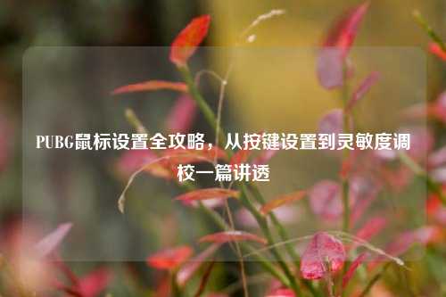 PUBG鼠标设置全攻略,从按键设置到灵敏度调校一篇讲透