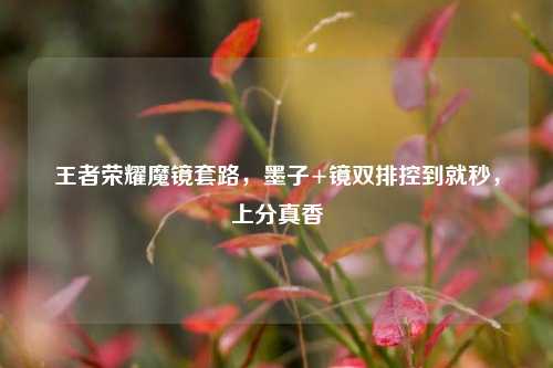 王者荣耀魔镜套路，墨子+镜双排控到就秒，上分真香