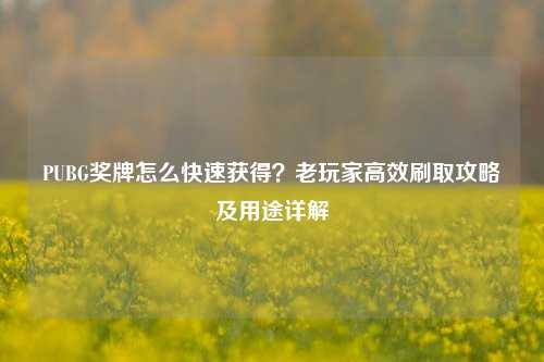 PUBG奖牌怎么快速获得?老玩家高效刷取攻略及用途详解