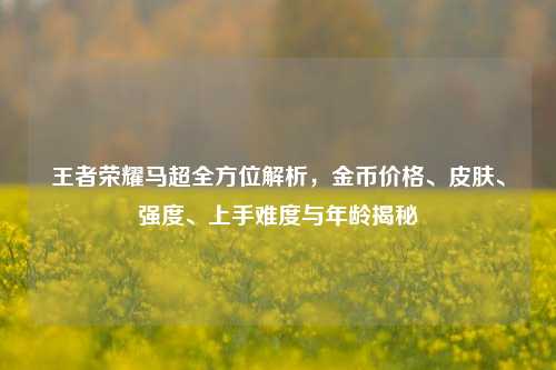 王者荣耀马超全方位解析,金币价格、皮肤、强度、上手难度与年龄揭秘