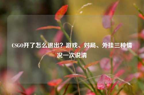 CSGO开了怎么退出?游戏、对局、外挂三种情况一次说清