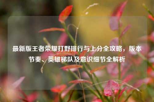 最新版王者荣耀打野排行与上分全攻略，版本节奏、英雄梯队及意识细节全解析
