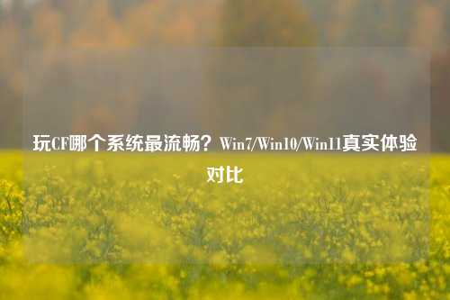 玩CF哪个系统最流畅?Win7/Win10/Win11真实体验对比