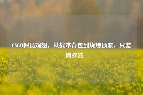 CSGO探员鸡翅,从战术背包到烧烤顶流,只差一撮孜然