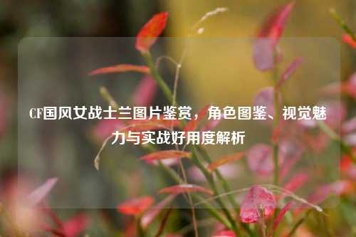 CF国风女战士兰图片鉴赏,角色图鉴、视觉魅力与实战好用度解析