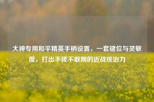 大神专用和平精英手柄设置,一套键位与灵敏度,打出手搓不敢刚的近战统治力