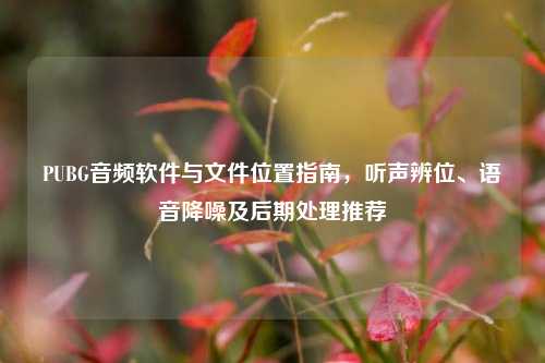 PUBG音频软件与文件位置指南,听声辨位、语音降噪及后期处理推荐