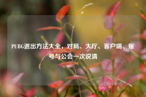 PUBG退出方法大全,对局、大厅、客户端、账号与公会一次说清
