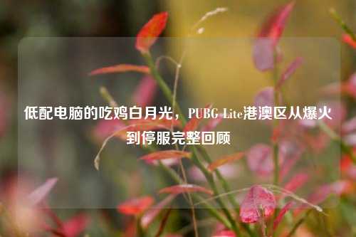 低配电脑的吃鸡白月光,PUBG Lite港澳区从爆火到停服完整回顾