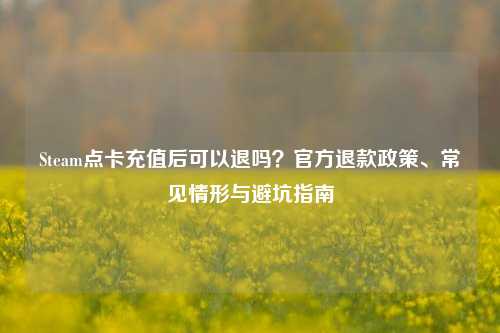 Steam点卡充值后可以退吗?官方退款政策、常见情形与避坑指南
