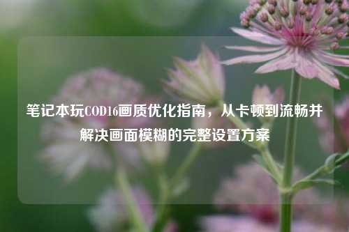 笔记本玩COD16画质优化指南,从卡顿到流畅并解决画面模糊的完整设置方案
