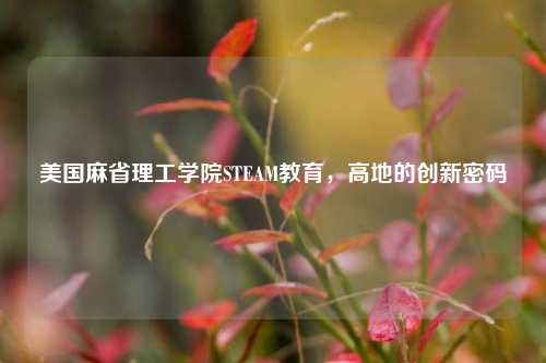 美国麻省理工学院STEAM教育,高地的创新密码