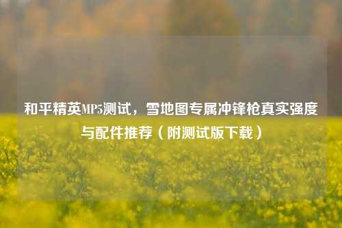 和平精英MP5测试,雪地图专属冲锋枪真实强度与配件推荐(附测试版下载)