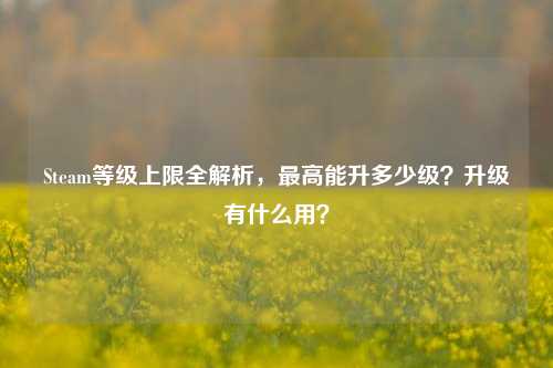 Steam等级上限全解析,最高能升多少级?升级有什么用?