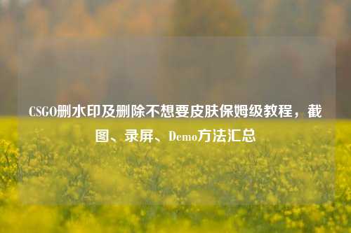 CSGO删水印及删除不想要皮肤保姆级教程,截图、录屏、Demo方法汇总