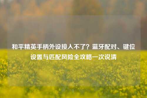 和平精英手柄外设接入不了?蓝牙配对、键位设置与匹配风险全攻略一次说清