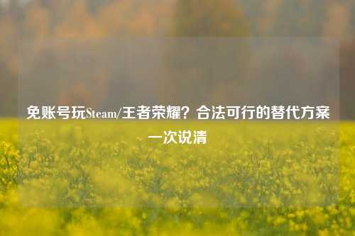 免账号玩Steam/王者荣耀?合法可行的替代方案一次说清
