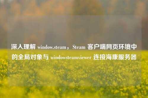 深入理解 window.steam,Steam 客户端网页环境中的全局对象与 windowsteamviewer 连接海康服务器