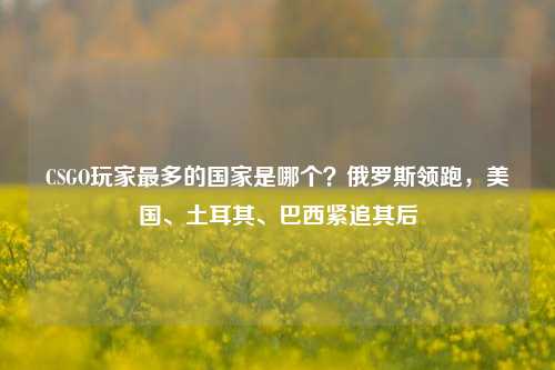 CSGO玩家最多的国家是哪个?俄罗斯领跑,美国、土耳其、巴西紧追其后