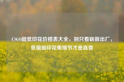 CSGO超低印花价格表大全,别只看崭新出厂,低磨损印花集细节才是真香