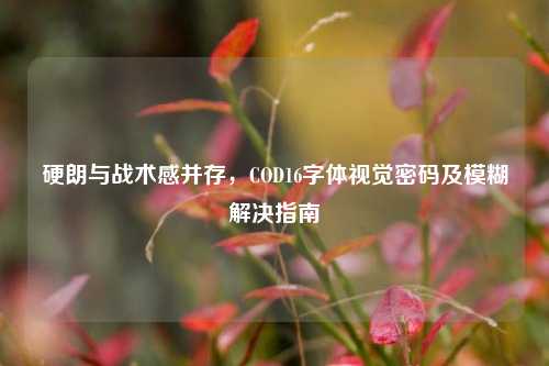 硬朗与战术感并存,COD16字体视觉密码及模糊解决指南