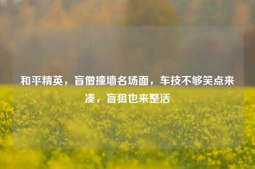 和平精英,盲僧撞墙名场面,车技不够笑点来凑,盲狙也来整活