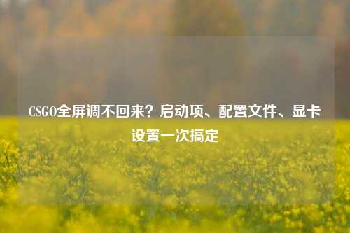 CSGO全屏调不回来?启动项、配置文件、显卡设置一次搞定