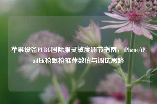 苹果设备PUBG国际服灵敏度调节指南,iPhone/iPad压枪跟枪推荐数值与调试思路