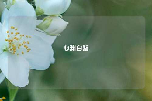 心渊白罂