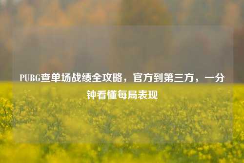 PUBG查单场战绩全攻略,官方到第三方,一分钟看懂每局表现