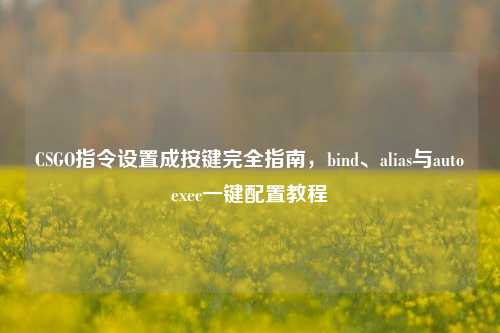 CSGO指令设置成按键完全指南,bind、alias与autoexec一键配置教程