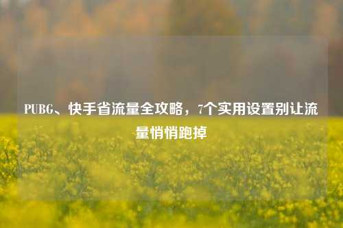 PUBG、快手省流量全攻略,7个实用设置别让流量悄悄跑掉