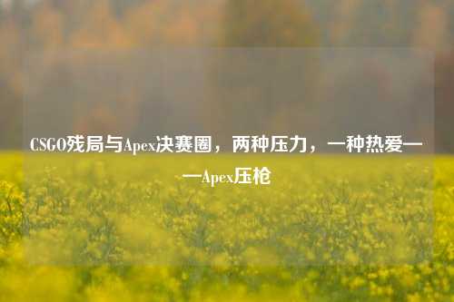 CSGO残局与Apex决赛圈,两种压力,一种热爱——Apex压枪
