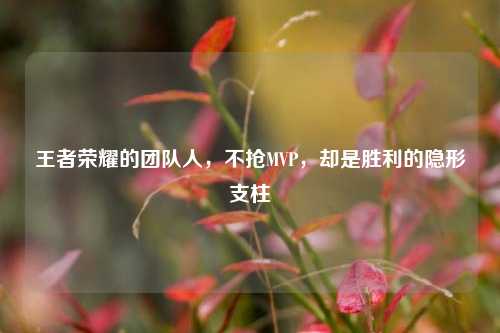 王者荣耀的团队人，不抢MVP，却是胜利的隐形支柱