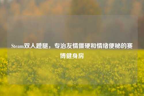 Steam双人蹬腿,专治友情僵硬和情绪便秘的赛博健身房