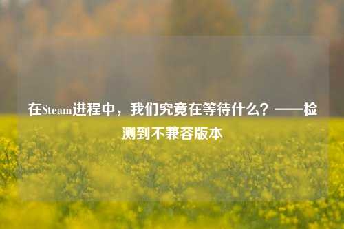 在Steam进程中,我们究竟在等待什么?——检测到不兼容版本